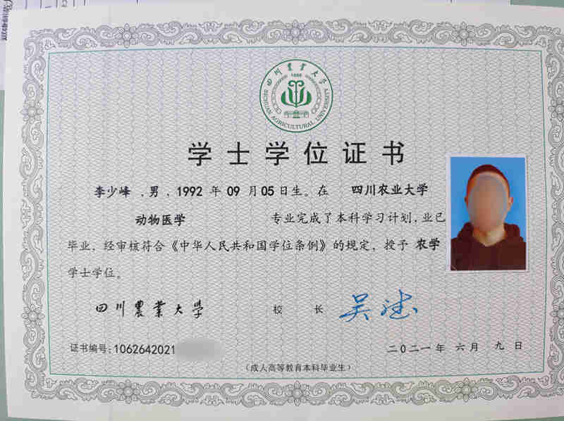 李少峰.jpg